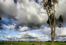 开云体育下载-西班牙轻取切尔西4:5，德布劳内扑点救主西甲