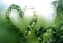 开云体育在线-美国网球队险胜德国网球队，兹维列夫绝境逆转——网球赛场上的精彩瞬间与背后故事