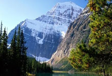 开云体育-戴维斯杯逆转拉沃尔杯，梅德韦杰夫点燃赛场