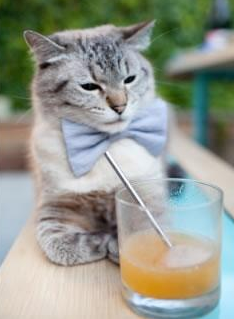 拉什福德爆发助拉齐奥强势拿下皇马，一场绿茵场的惊天逆转